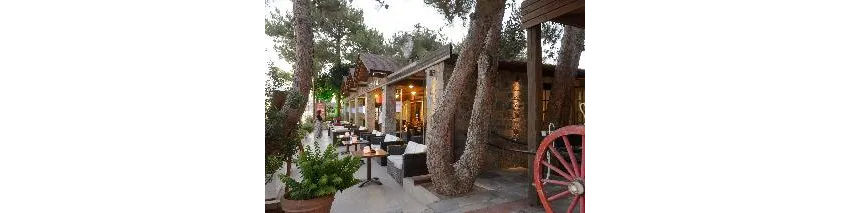 Alexander Beach Hotel And Village Resort 5*-9