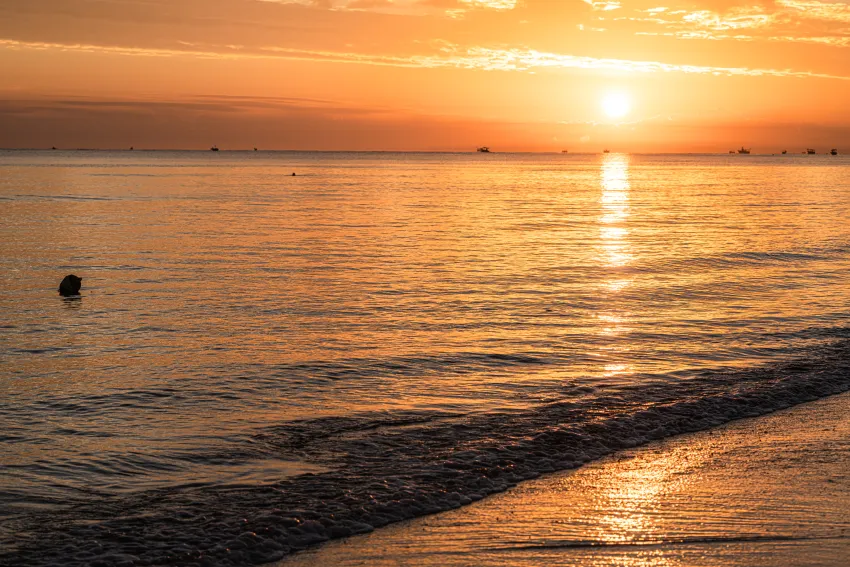 SOUSSE PEARL MARRIOTT RESORT & SPA  5*-45