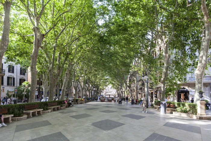 Nivia Born Boutique Hotel  - Palma city - Spania