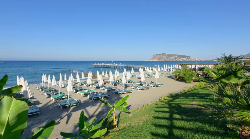 Antique Roman Palace (Adults Only 16+) 5*-124