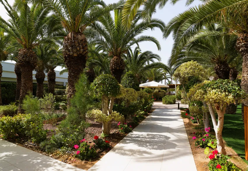 The GrandResort – Limited Edition by Leonardo Hotels 5*-43