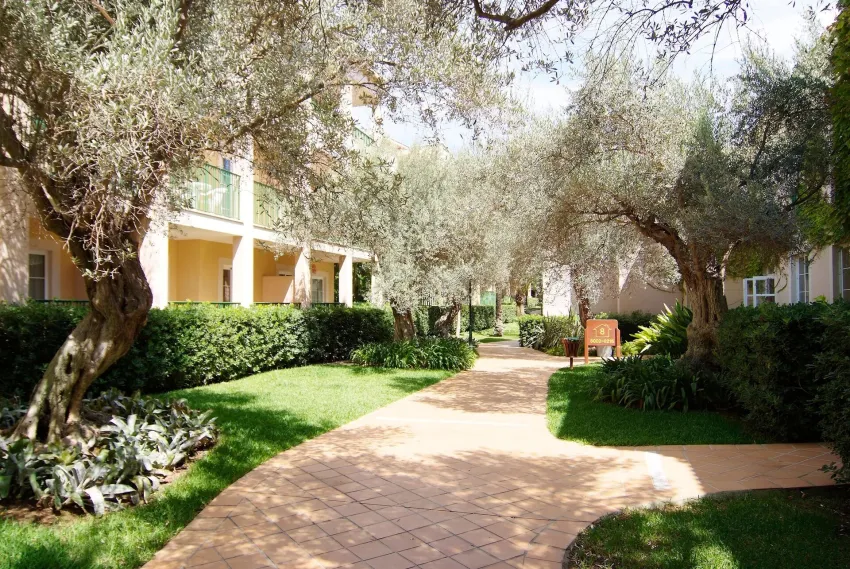 Zafiro Cala Mesquida 4*-3