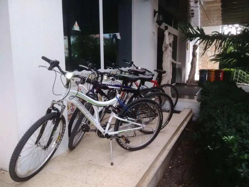 Pine House Hotel 4*-53