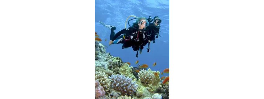 Steigenberger Aqua Magic 5*-81