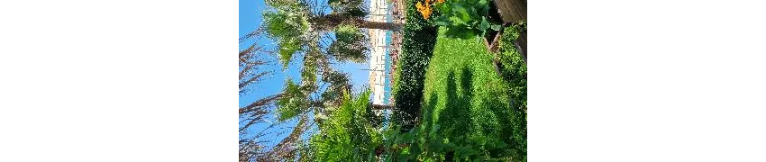 J'adore Deluxe Hotel & Spa 5*-141