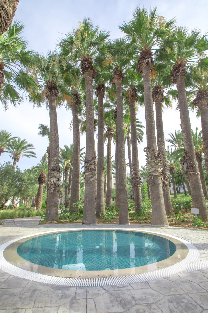 Occidental Sousse Marhaba 4*-89