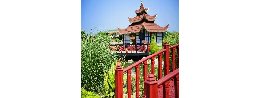 Flora Garden Beach (Adults Only 16+) 5*-113