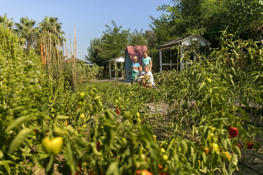 Marvida Family Eco Club (Ex. Otium Family Eco Club) 5*-21