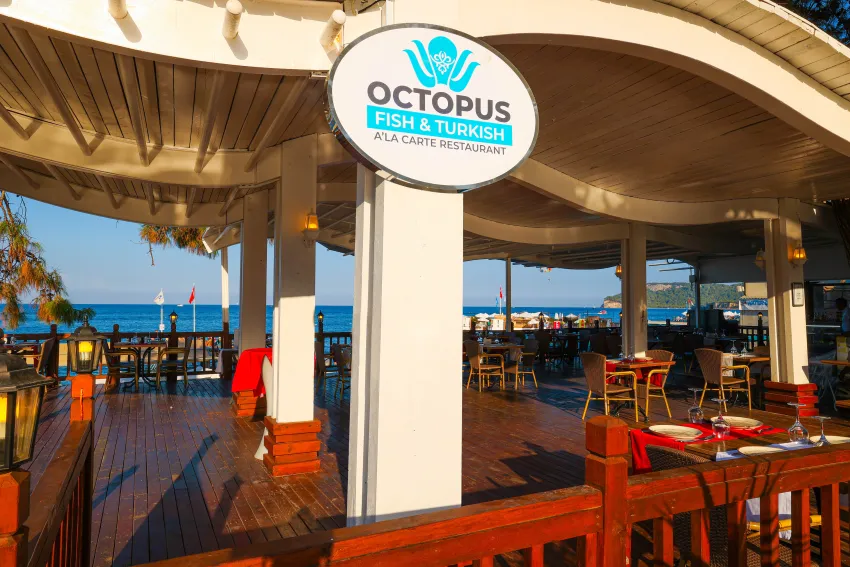 Crystal Aura Aqua Collection 5*-35