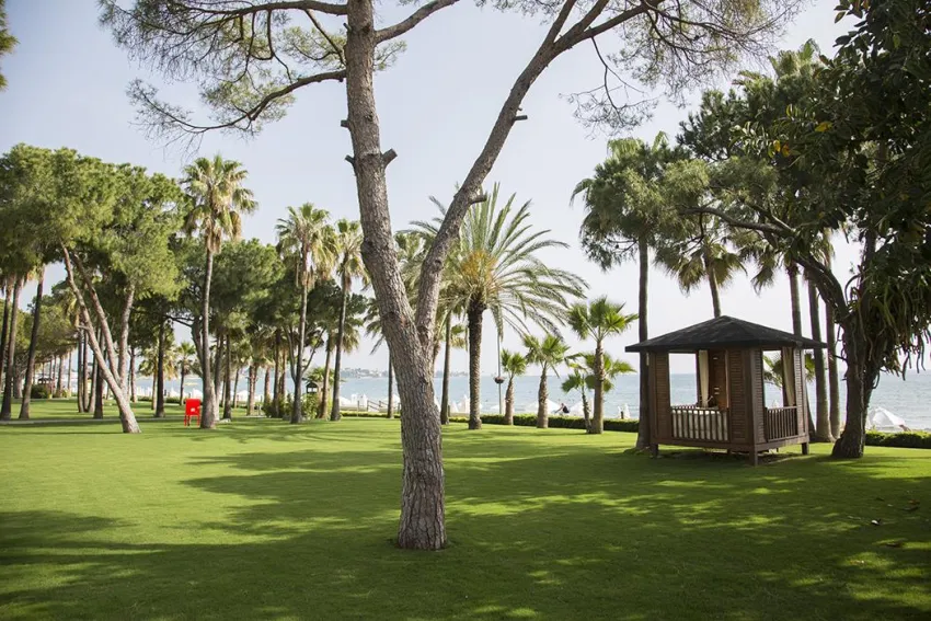 ACANTHUS & CENNET BARUT COLLECTION  5*-51