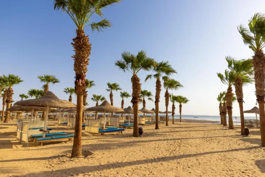 AMWAJ BEACH CLUB ABU SOMA  4*-56