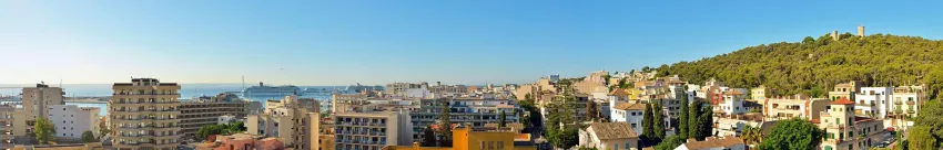 Innside Palma Bosque 4*-45