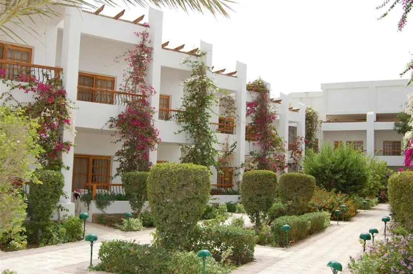 Menaville Safaga 4*-2