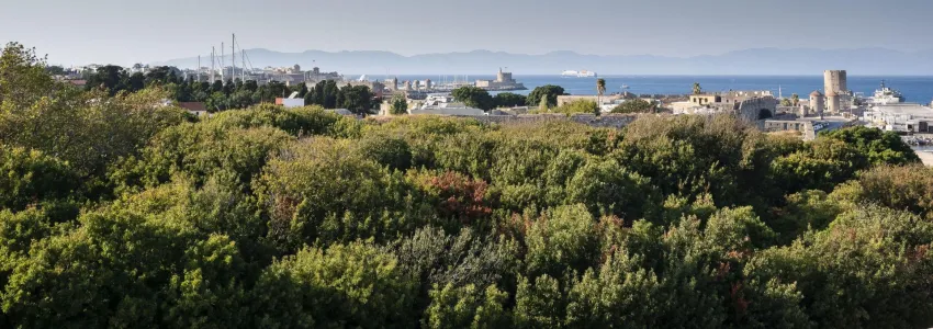 Athineon Hotel 4*-20