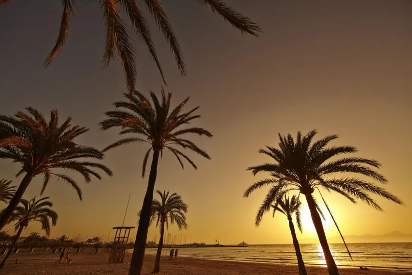 MLL Palma Bay Club Resort 3*-83