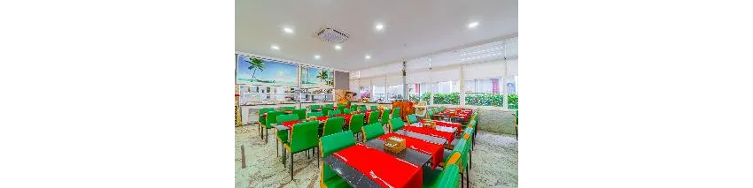 Sayanora Hotel 3*-65