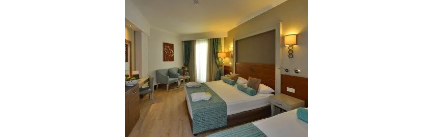 Side Crown Palace 5*-17