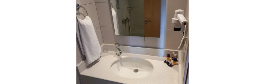 Viking Express Hotel 3*-8