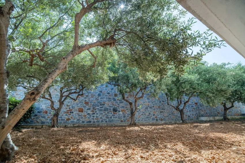 Semiramis Village Hotel 4*-32