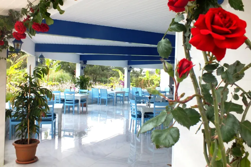 Vonresort Elite 5*-37