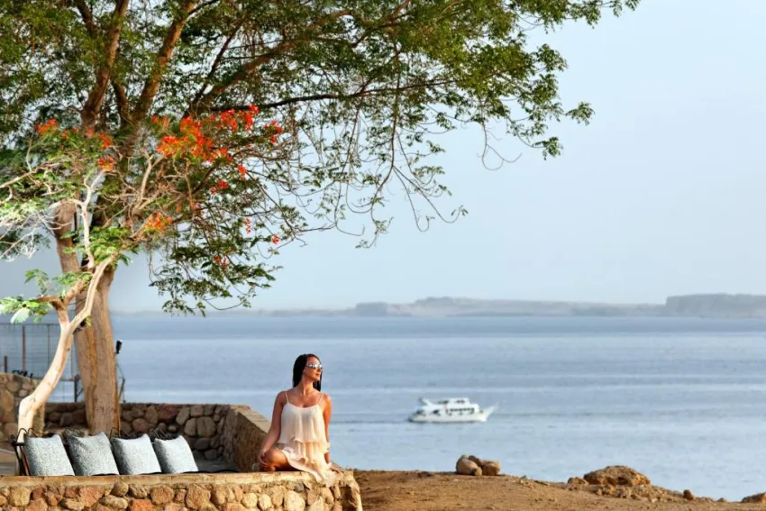 ALBATROS SHARM RESORT  4*-14