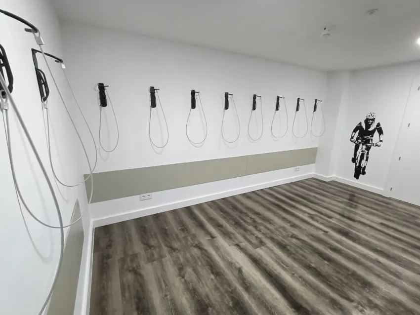 Vibra Palma Cactus 4*-30