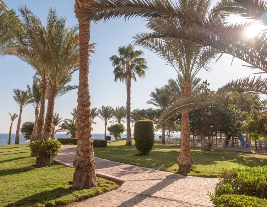 Serenity Alpha Beach (Ex Serenity Makadi Beach) 5*-5