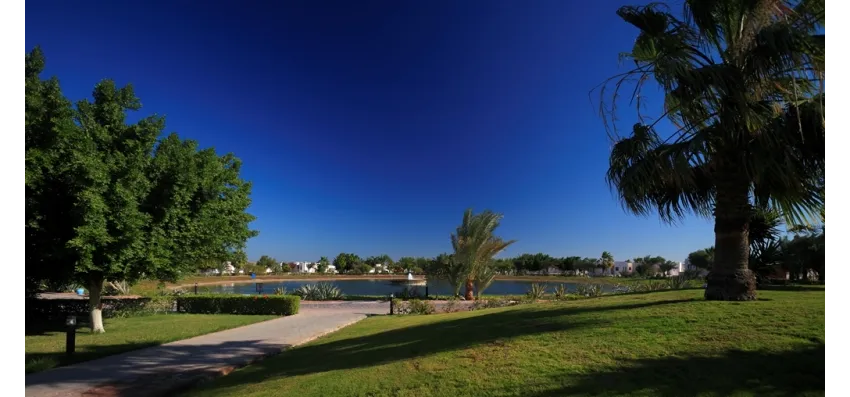 Pharaoh Azur Resort 4*-6