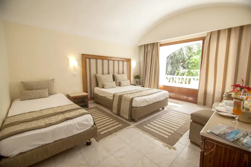 Le Hammamet Hotel 4*-3