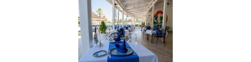 Asteria Family Resort Side (Ex Euphoria Palm Beach) 5*-63