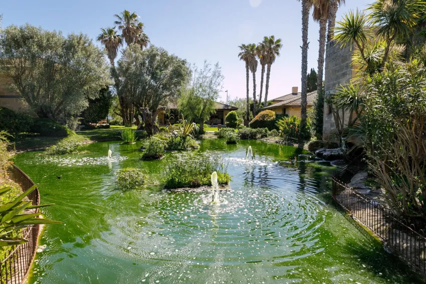 Portblue Club Pollentia Resort & Spa 4*-2