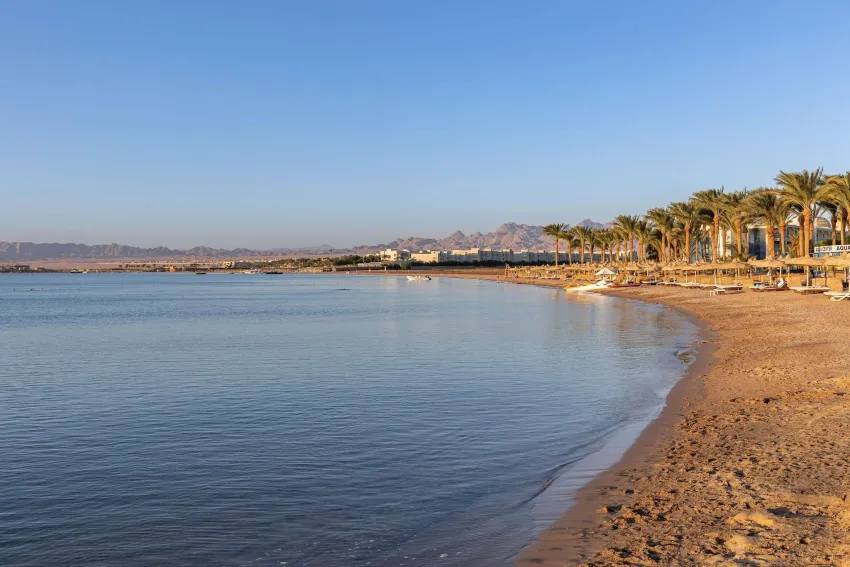 Palm Royale Soma Bay Resort 5*-431