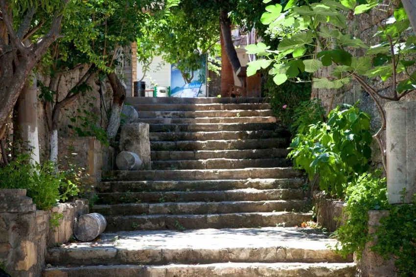 Leda Beach Hotel 3*-14