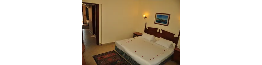 Titanic Resort & Aquapark 4*-10