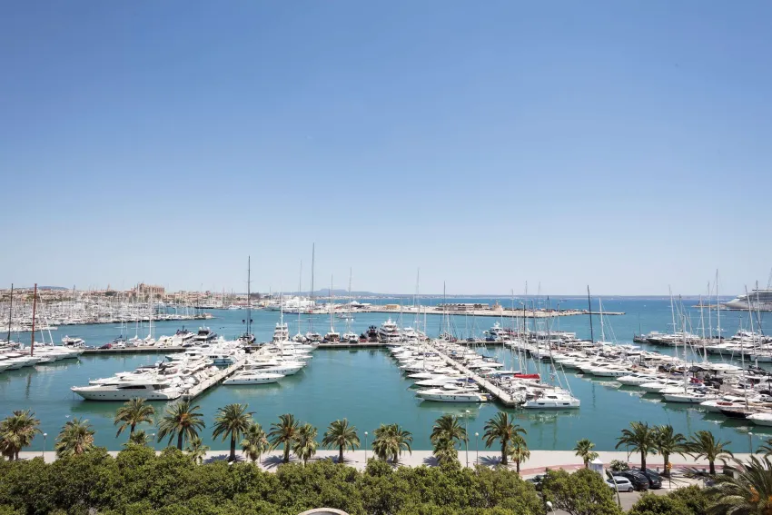 Melia Palma Marina 4*-346