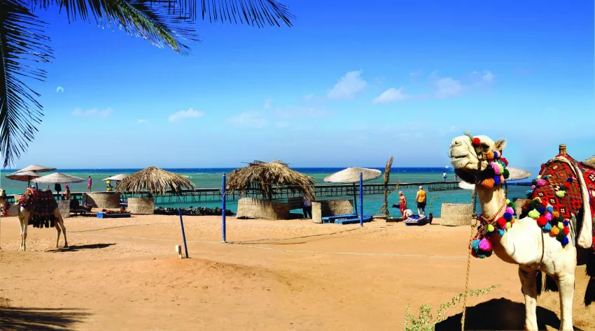 Captain's Inn Hotel 3*-13