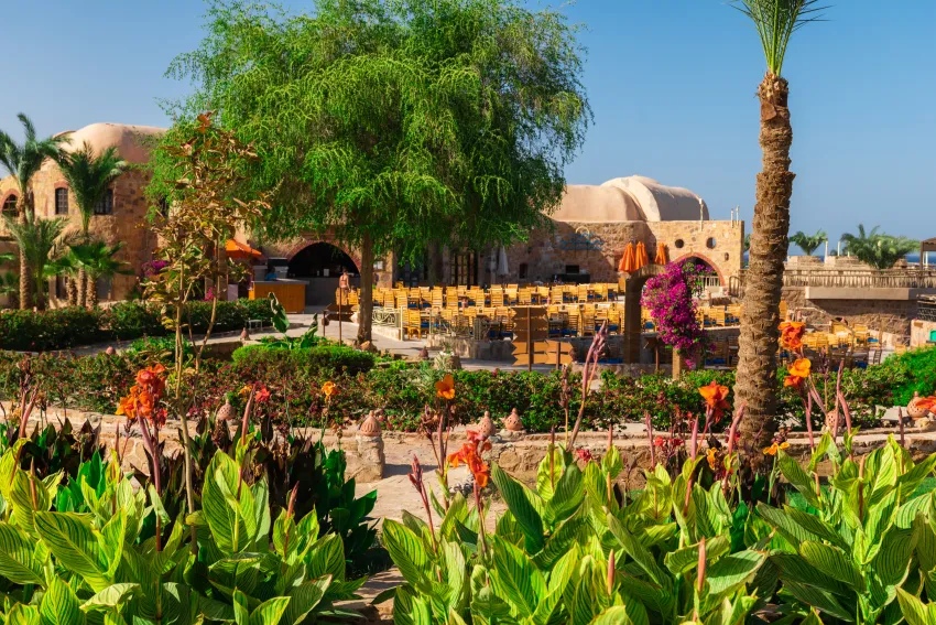 Utopia Beach Club 4*-83