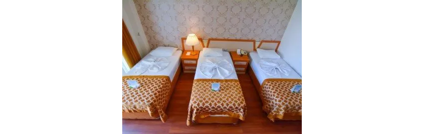 Pine House Hotel 4*-8