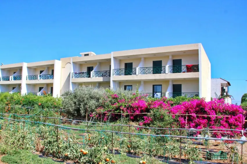 Despo Hotel 3*-2