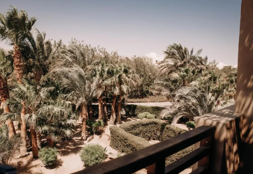 COOK'S CLUB EL GOUNA (ADULTS ONLY 16+)  4*-8