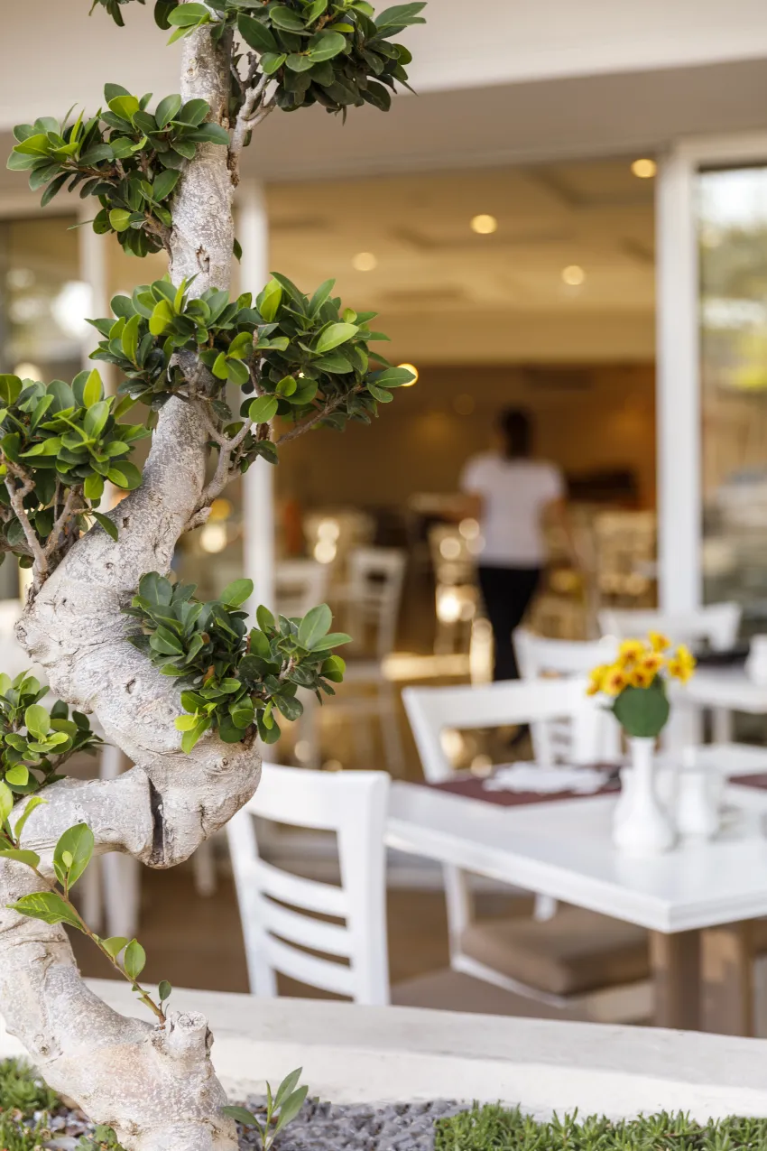 Best Western Plus Plaza 4*-65