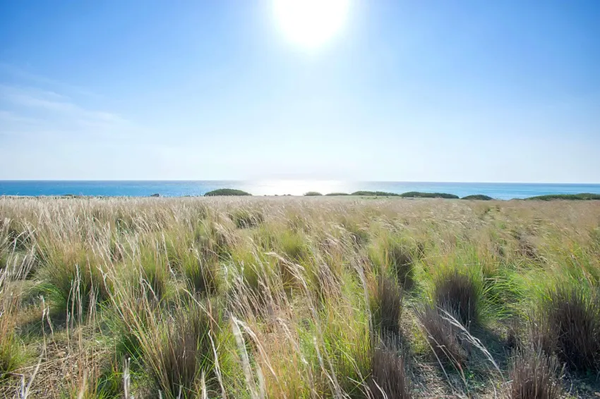 Numo Ierapetra Beach Resort Crete Curio Collection by Hilton 4*-9