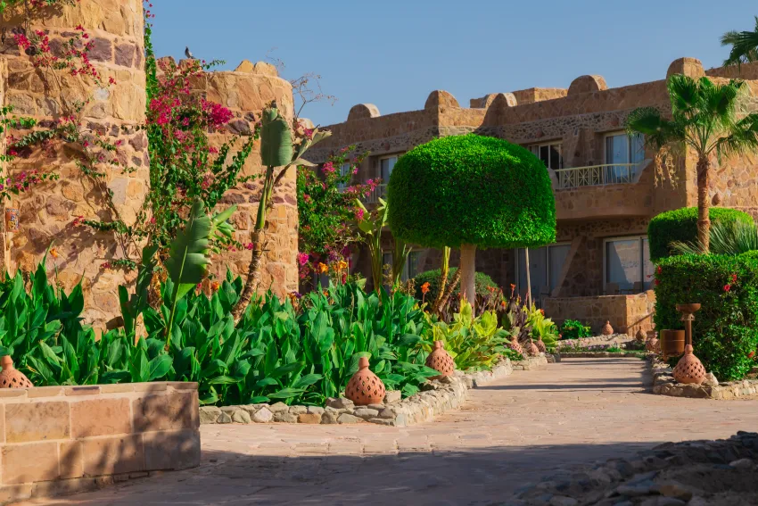 Utopia Beach Club 4*-53