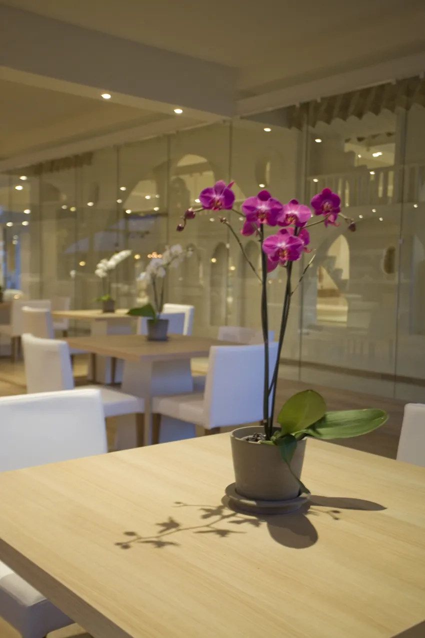 Sandy Beach Hotel 4*-6