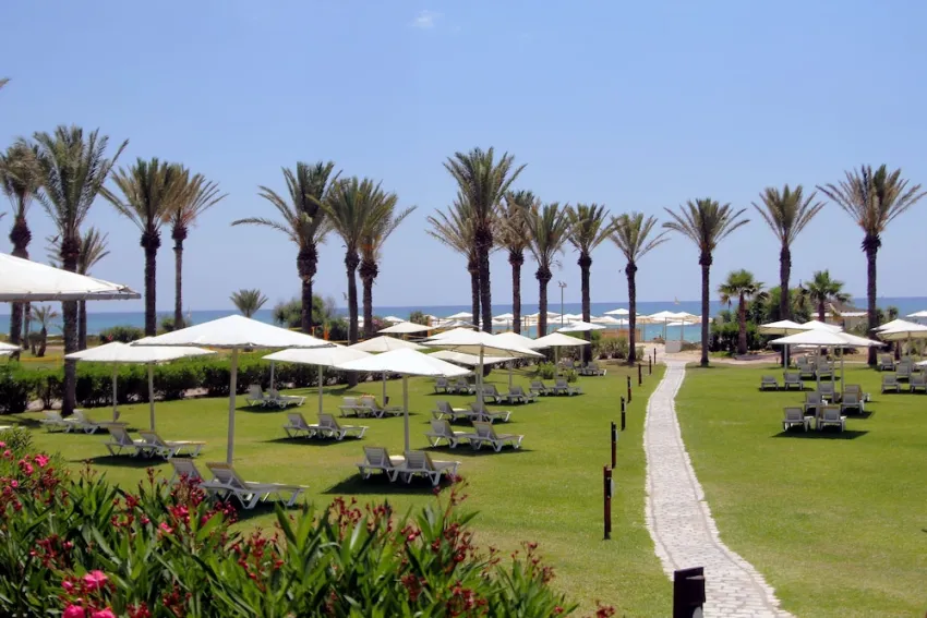 Calimera Delfino Beach Resort & Spa 4*-41
