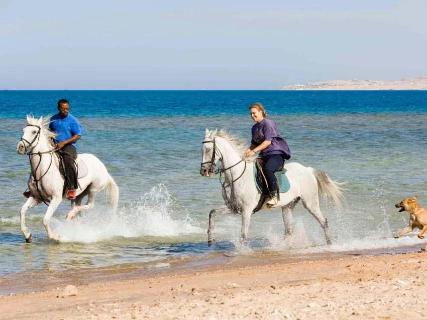 Mercure Hurghada 4*-229