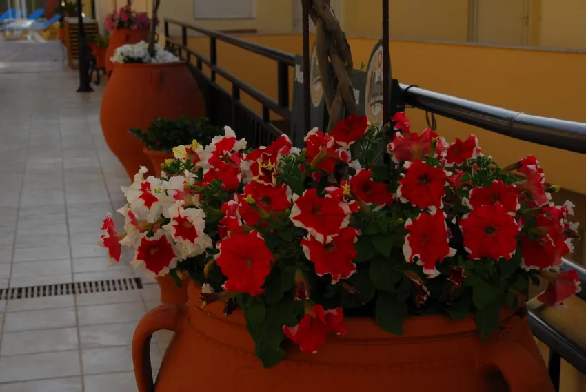 Elpis Studios and Apts 2*-5