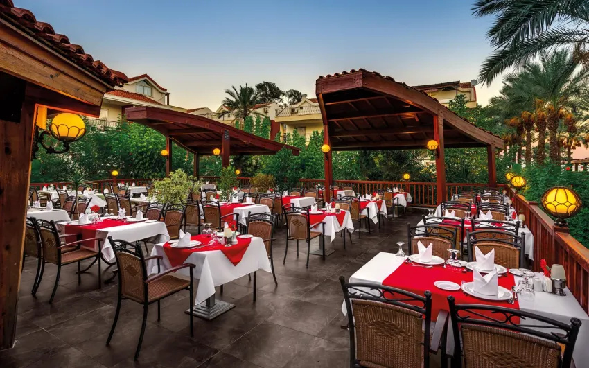 Crystal Aura Aqua Collection 5*-8