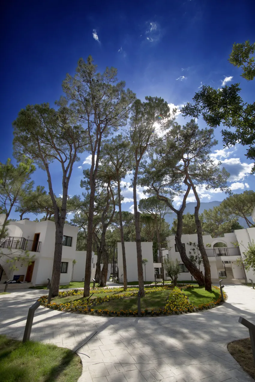 Siu Collection (Ex. Aydinbey) 5*-26