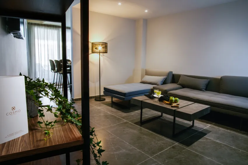 Cosmo Napa Boutique Hotel 3*-37